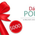 5 000 Kč